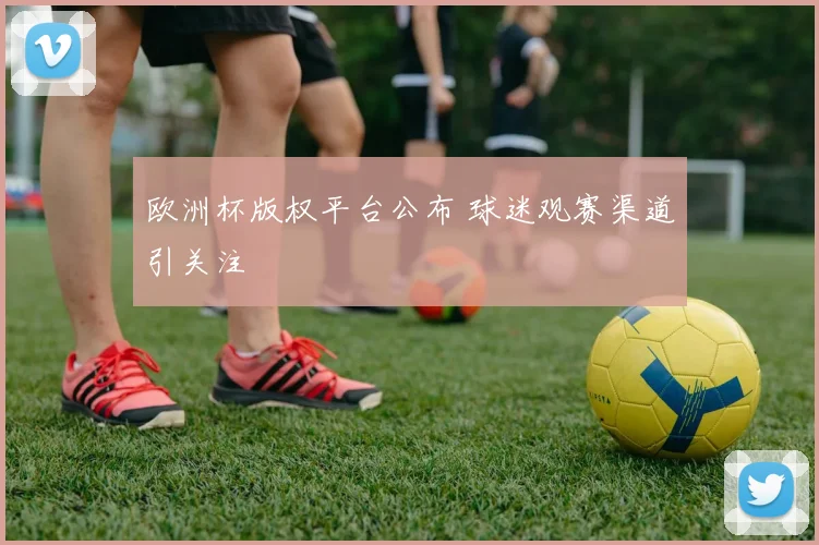 欧洲杯版权平台公布 球迷观赛渠道引关注