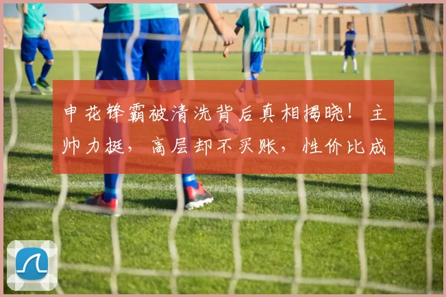 申花锋霸被清洗背后真相揭晓！主帅力挺，高层却不买账，性价比成关键_路易斯_外援_前锋