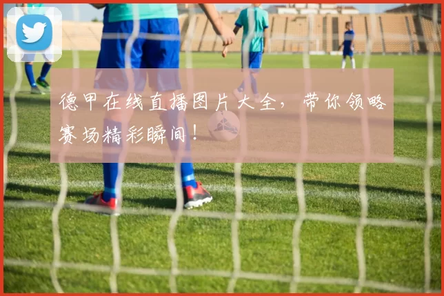 德甲在线直播图片大全，带你领略赛场精彩瞬间！